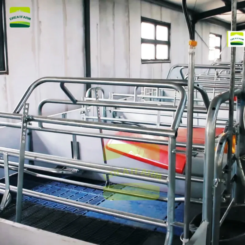 Китайская Современная свинья ферма с полностью автоматизированной системой