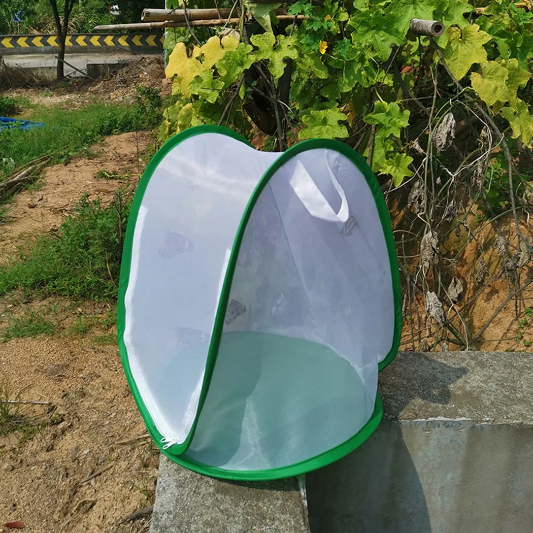 

Accessories Insect Cage Breathable Breeding Butterfly Cage Enclosure Housing