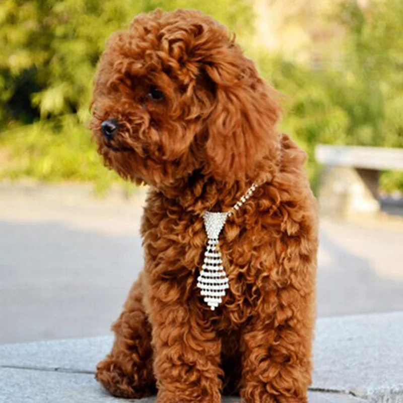 Регулируемый декоративный ошейник стразы Блестящий галстук для собак мальчиков