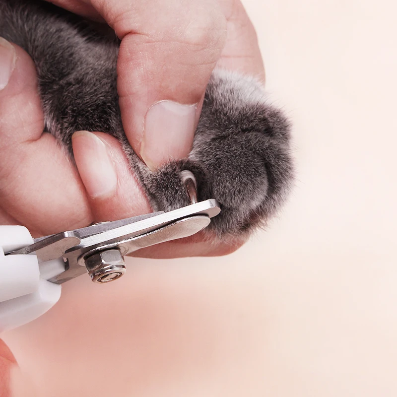 Профессиональные ПЭТ коготь ножницы для ногтей с замком кошка собака