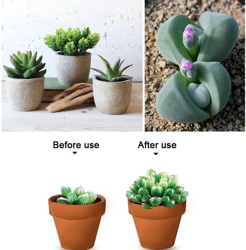 Суккуленты специальное удобрение спутник против корневой гнили и способствует