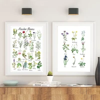 wild flowers chart canvas painting plant flower species botanical educational poster print wall picture kids room wall art decor