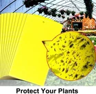 Мощная Летающая ловушка для насекомых, клейкая доска, двухсторонняя ловушка для насекомых, борьбы с вредителями, мух, избыточных листьев, парников, садов, фруктов