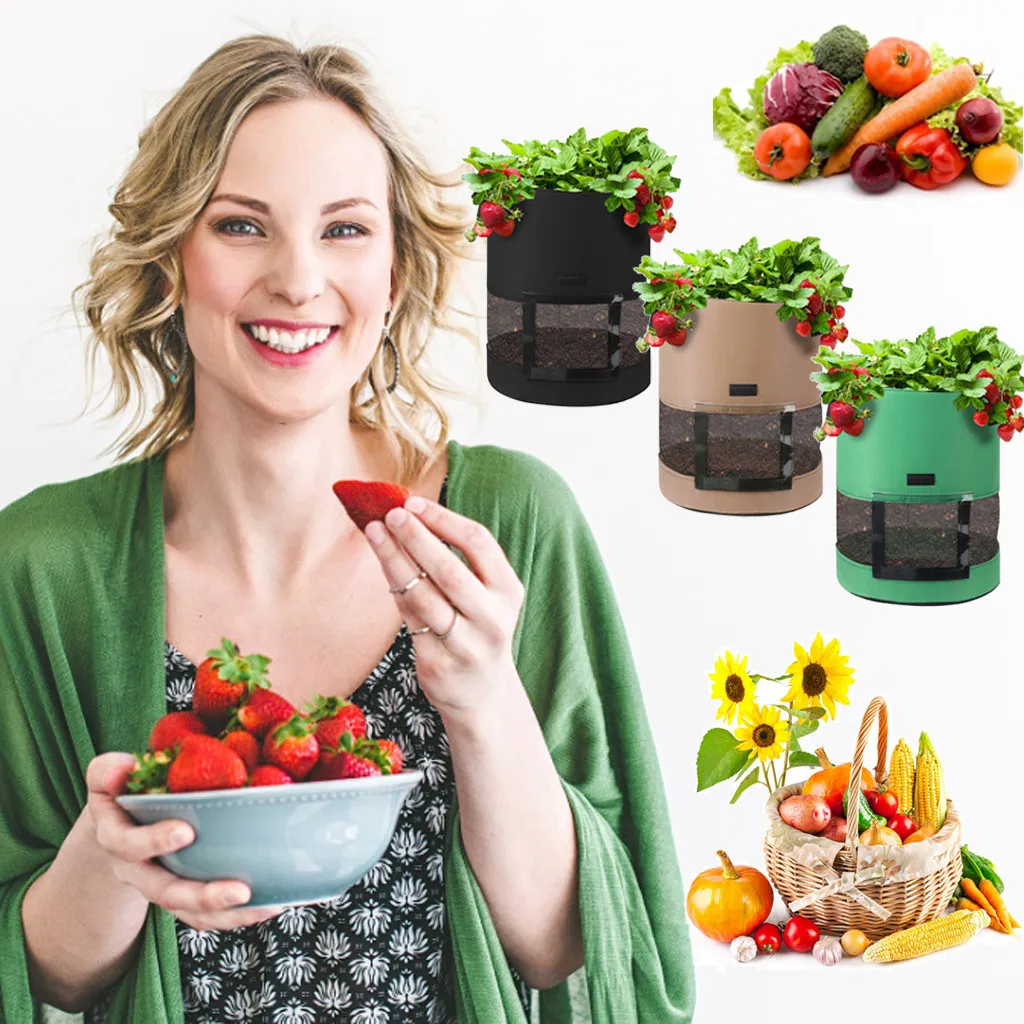 Семейный домашний садовый горшок для выращивания картофеля своими руками