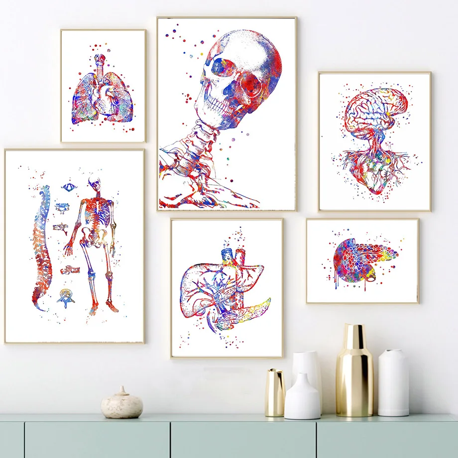 

Lung Skull Skeleton Organs Anatomy Medical Education Poster And Prints Wall Art Canvas Painting Wall Pictures For Hospital Decor