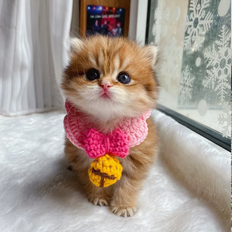 

Cute Crocheted Cat Collar Woolen Dog Bandana Sweet Bowknot Pet Necklace Manual Cat Scarf for Small Cats Pink Kitten Accessories