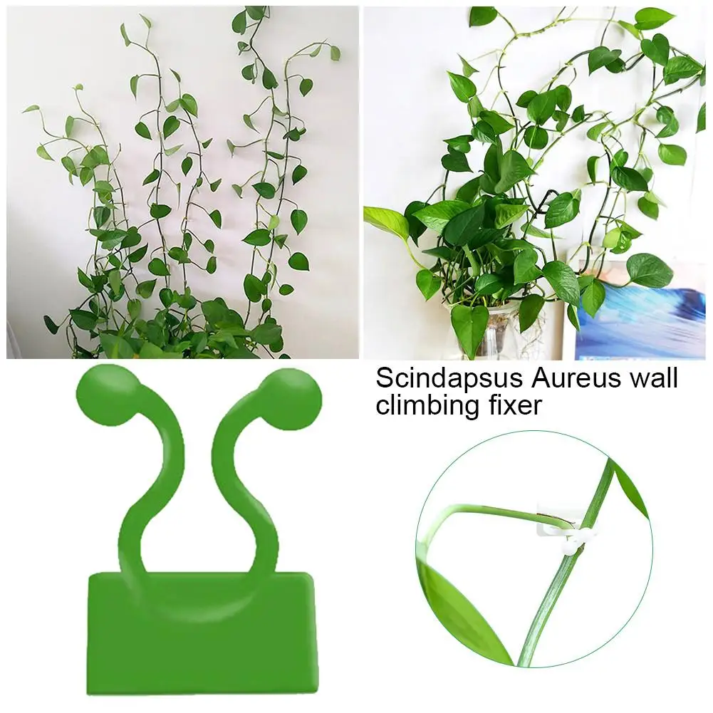 100 шт./компл. зажим для крепления садовых овощей подъема растений настенный