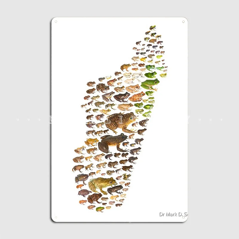

Madagascar's Frogs Metal Plaque Poster Cinema Kitchen Pub Garage Printing Plaques Tin Sign Posters
