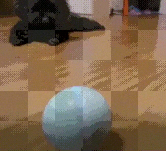 Игрушка для домашних животных Светодиодный светящийся вращающийся шар