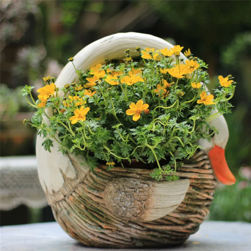 

Creative Country Rattan Cute Swan Turtle Succulents Flower Pot Decor Modern Animal Art Pot Vase Home Garden Outdoor Decor R2959
