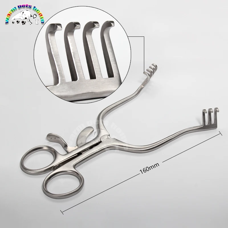 Weitlaner Retractor - Self-Retaining and Blunt Wound Veterinary Instruments image 2