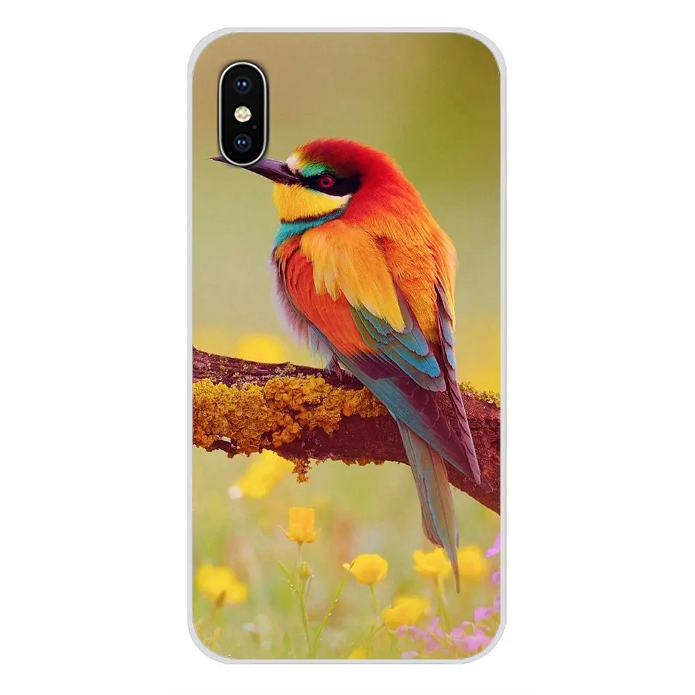 Фото Мягкий чехол для Oneplus 3T 5T 6T Nokia 2 3 5 6 8 9 230 3310 1 7 Plus 2017 2018 Мобильные телефоны и Мягкий чехол для Oneplus 3T 5T 6T Nokia 2 3 5 6 8 9 230 3310 1 7 Plus 2017 2018 Мобильные телефоны и