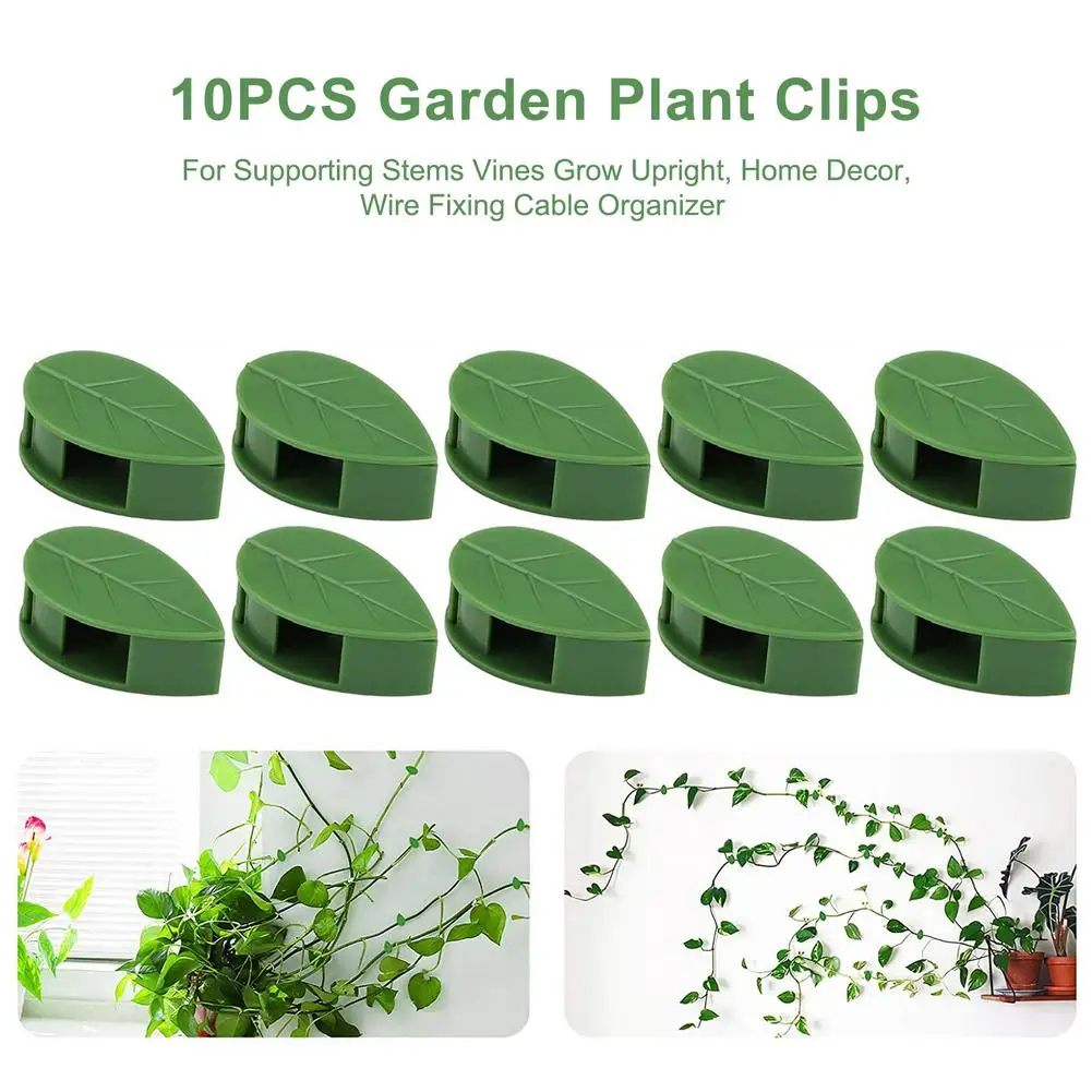 

10/50pcs Garden Plant Clip Self-adhesive Household Vine Holder Plant Fixture Clip Fixture Vine Buckle Hook for Plant Climbing