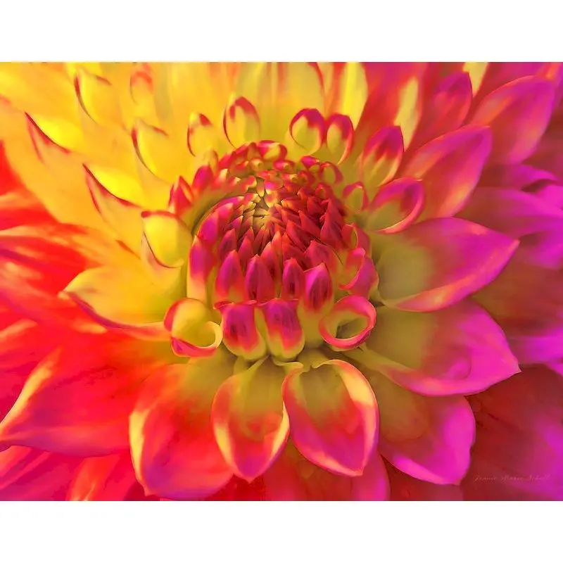 

RUOPOTY Painting By Numbers Flower Canvas Drawing Peony Coloring By Numbers Acrylic Paints Home Decor Decorative Frames