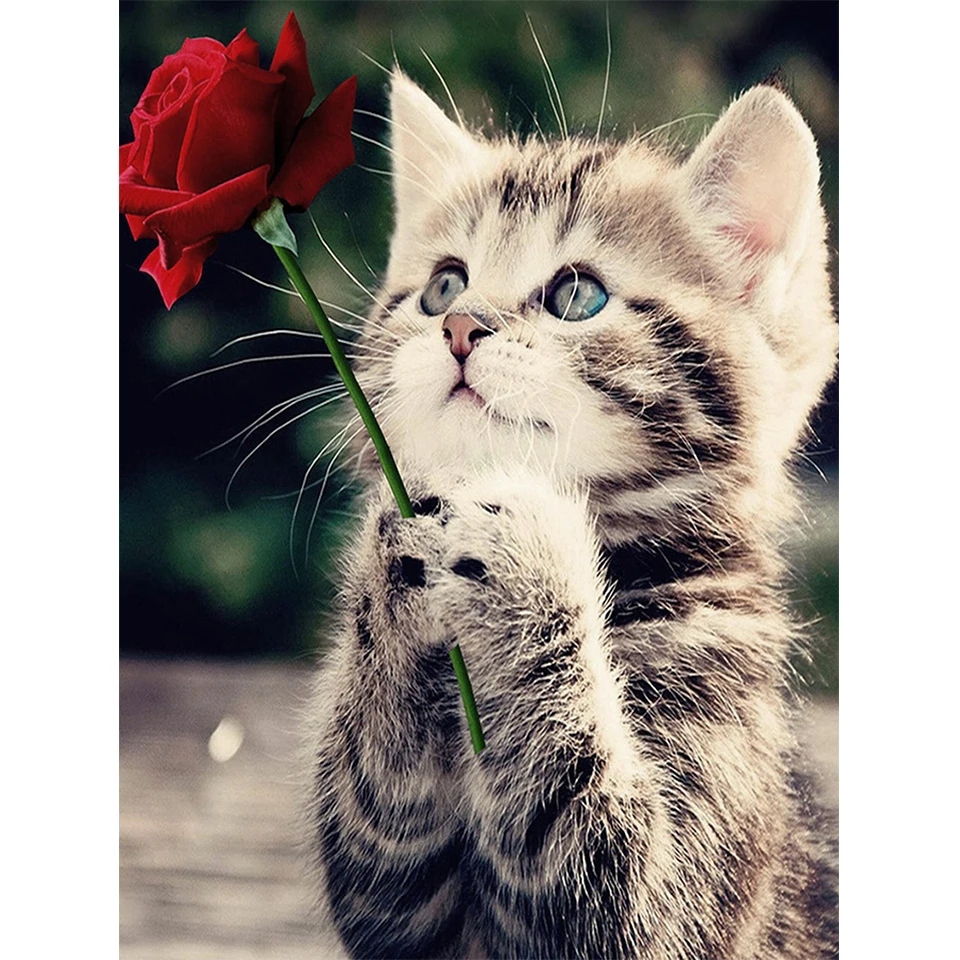 

Набор для алмазной вышивки «Стразы», картина 5D «сделай сам» с животными, кошками, полная Алмазная мозаика, украшение для дома, подарок