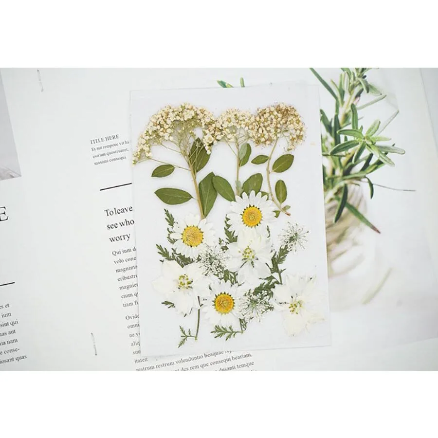 Микс сушеных прессованный цветок + лист гербарий из растений для Ювелирная