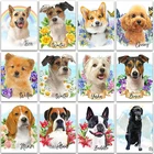 5D Набор для создания алмазной мозаики Животные собака с рисунком пуделя для женщин бульдог с героями мультфильмов комплект для домашнего декора камни в форме ромба и круглый бриллиант вышивка мозаика вышивка крестиком art