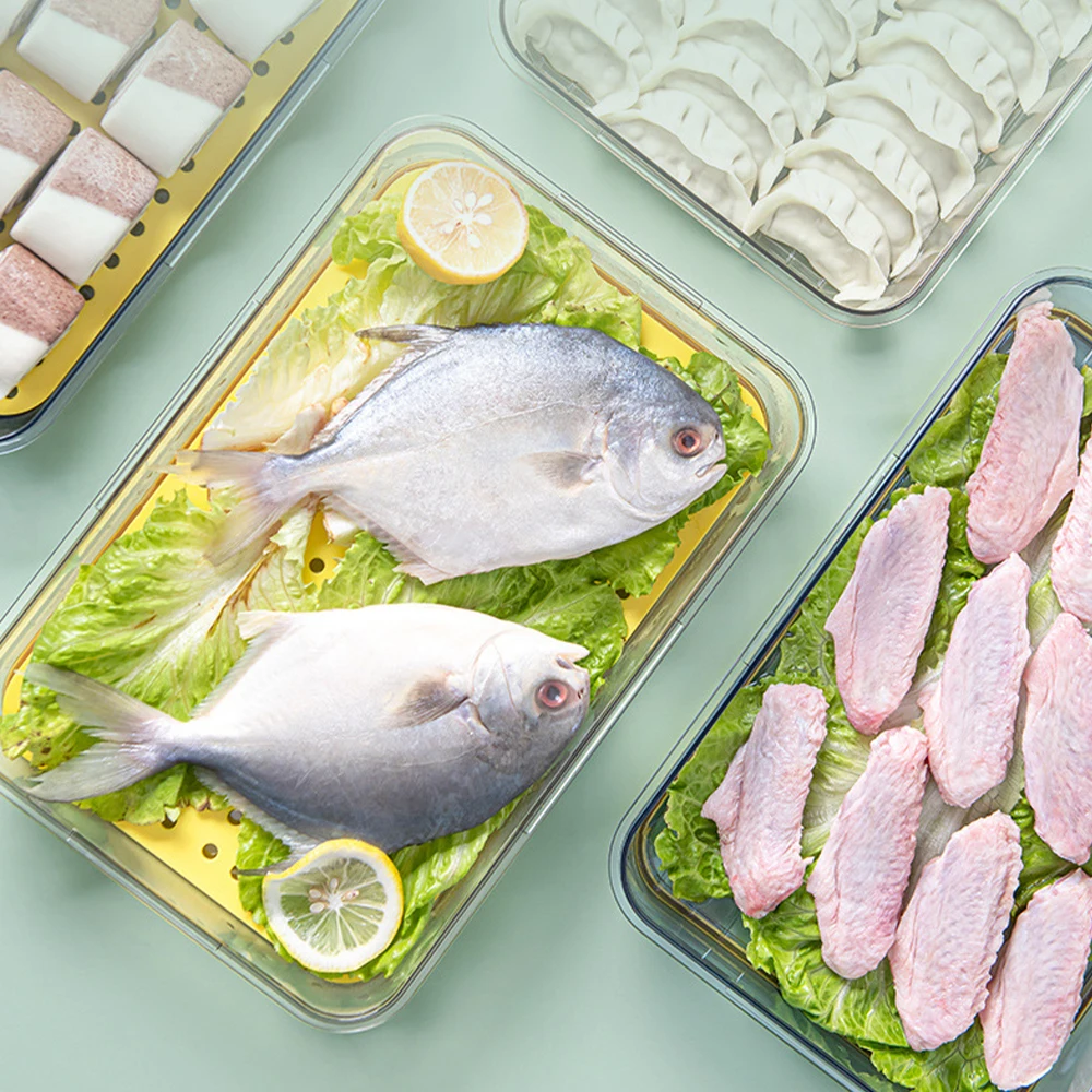 

Dumpling Box Refrigerator Food Container Organizer Kitchen Transparent With Cover Plastic Storage Case Kitchen Accessories