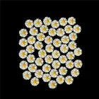 50 шт. 13 мм DIY белый цветок маргаритки каучук с плоским основанием украшение для телефона без отверстий домашний декор