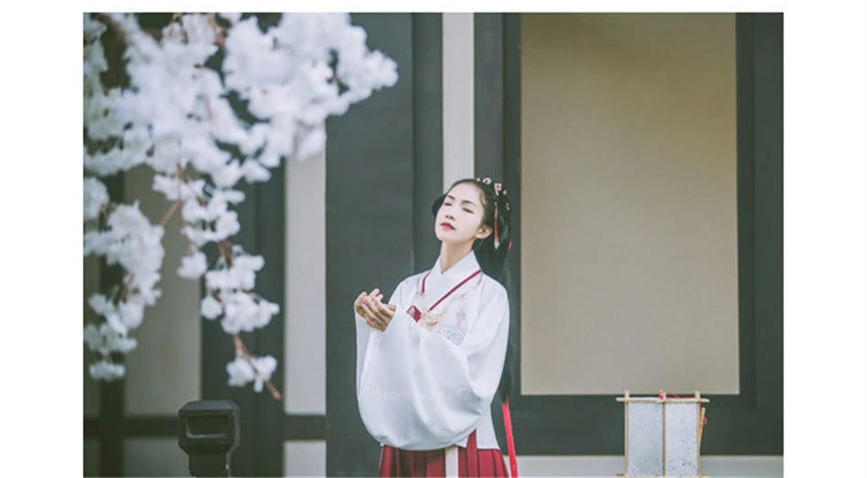 Новогодний Традиционный китайский фестивальный наряд, женская одежда Hanfu, Женский костюм для выступлений, старинный костюм, народный танец, сказочное платье