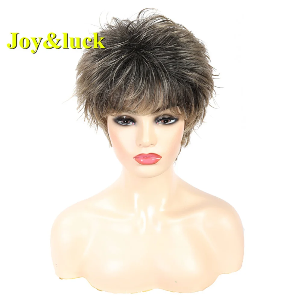 Joy&ampluck Short Wig Brown Mix Blonde Synthetic Wigs for Women Straight Full With Bangs Hair Fashion Style |