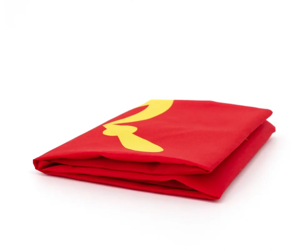 Флаг СССР красный Союз Советских Социалистических Республик 90x150 см|national world