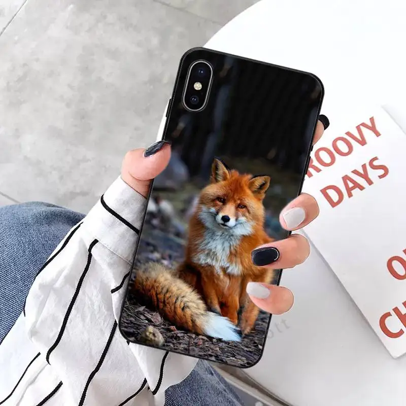 

red fox cute animal Phone Case for iPhone 11 12 mini pro XS MAX 8 7 6 6S Plus X 5S SE 2020 XR