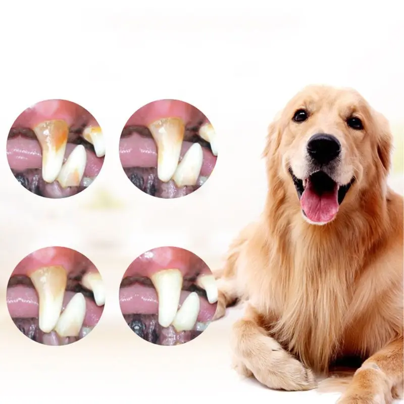 8 шт./компл. инструменты для чистки зубов домашних животных собак кошек клетчатый