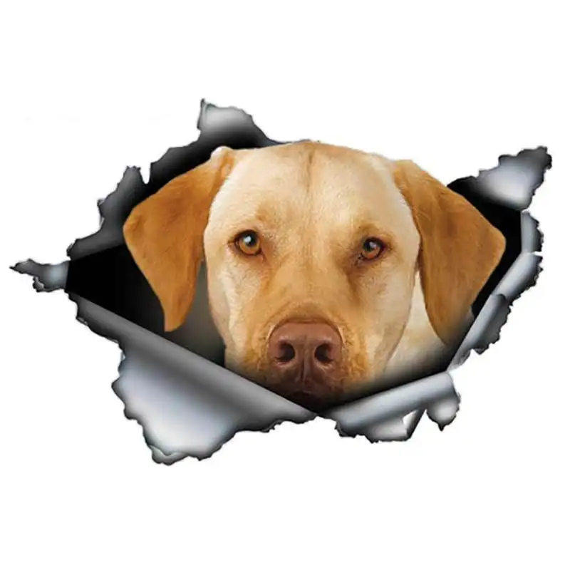 

Dawasaru Cartoon 3D Car Sticker Decal Pet Dog Labrador Graphic Auto Accessories Car Window PVC 13cm*9cm