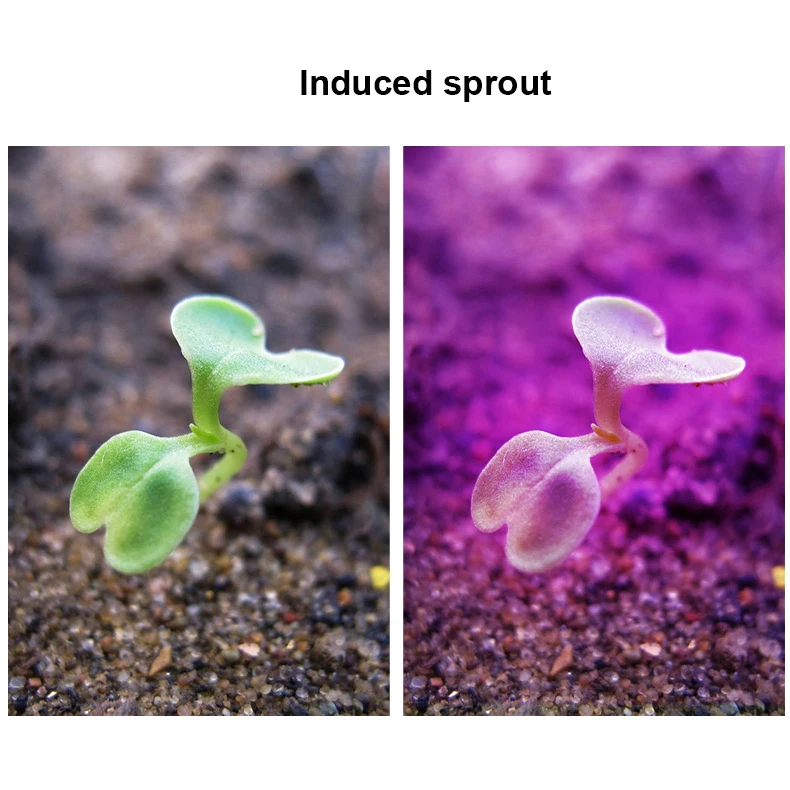 Светодиодный светильник для растений 220 В светодиодный выращивания E27 красный и
