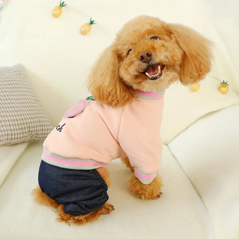 PETCIECLE Pet платье плюшевый Померанский Бишон Удобная Осенняя Модель Милая вышитая