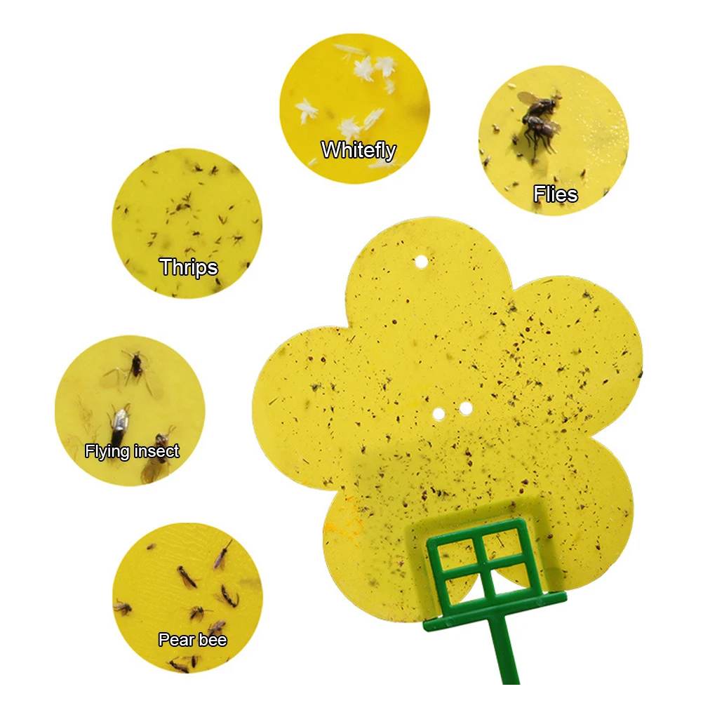 12 шт. липкая ловушка для мух яркий цвет насекомых фруктов дома и улицы|Ловушки| |