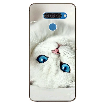 Для LG Q60 чехол роскошный чехол из ТПУ и силикона чехол s для LG K50 Телефон задняя крышка для LG Q 60 Funda Coque для LG V50/V50 ThinQ - Цвет: w13