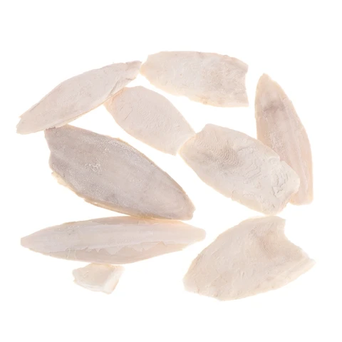 1 сумка Cuttlebone Каракатица сепия кости каракатицы Фиш птица Еда кальция Pickstone ПЭТ Прямая поставка - изображение