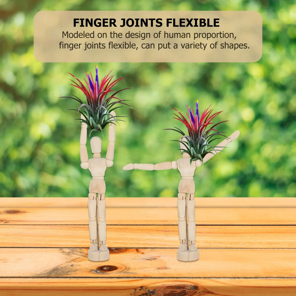 

Air Plant Puppet Holder Air Plant Stand Pot Tabletop Display Decoration