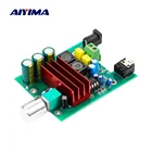Усилитель мощности Aiyima TPA3116 100 Вт