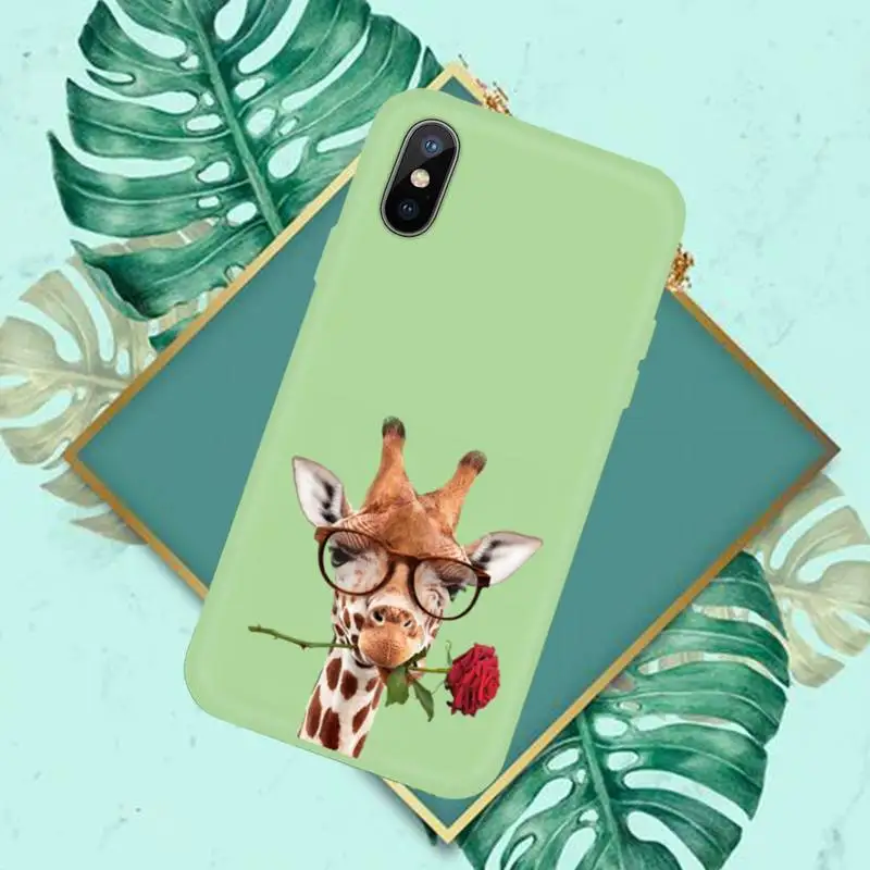 

Cartoon giraffe Phone Case Green Candy Color for iPhone 11 12 mini pro XS MAX 8 7 6 6S Plus X SE 2020 XR
