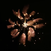 100 led fireworks lamp bedroom feather party supplies remote control courtyard portable garden indoor outdoor string lights