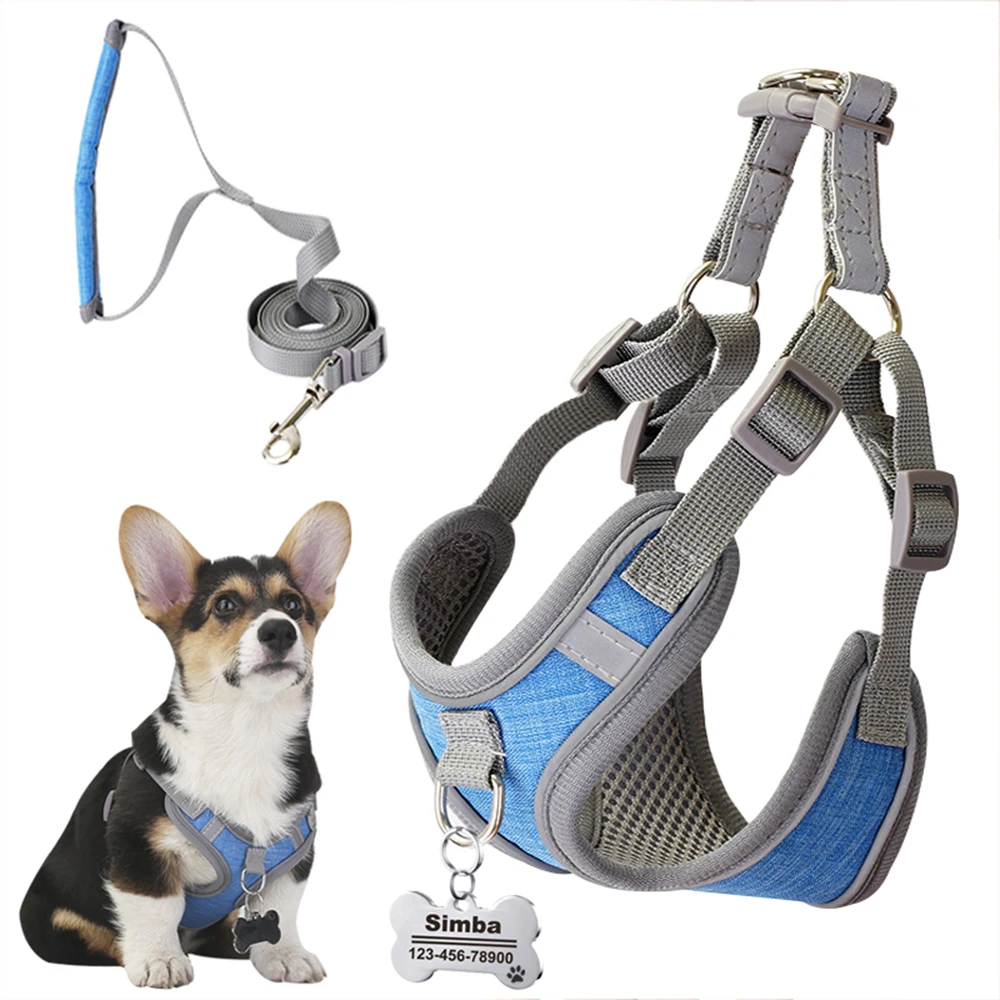 

Newest No Pull Reflective Dog Harness and Leash Set Heavy Duty & Adjustable for Dog of All Sizes Walking Training Supplies
