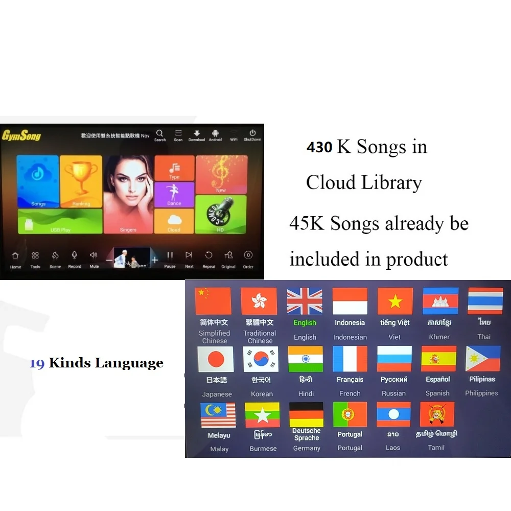 GymSong Home KTV Sing Wireless Microphone 2TB HDD Songs Touch Screen Karaoke Player System | Электроника