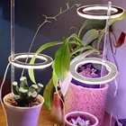 Светодиодный Grow светильник полный спектр Ангел кольцо Фито лампа для выращивания растений с питанием от USB Phytolamp для растений 5V лампы комнатное растение цветок тепличных растений рассада