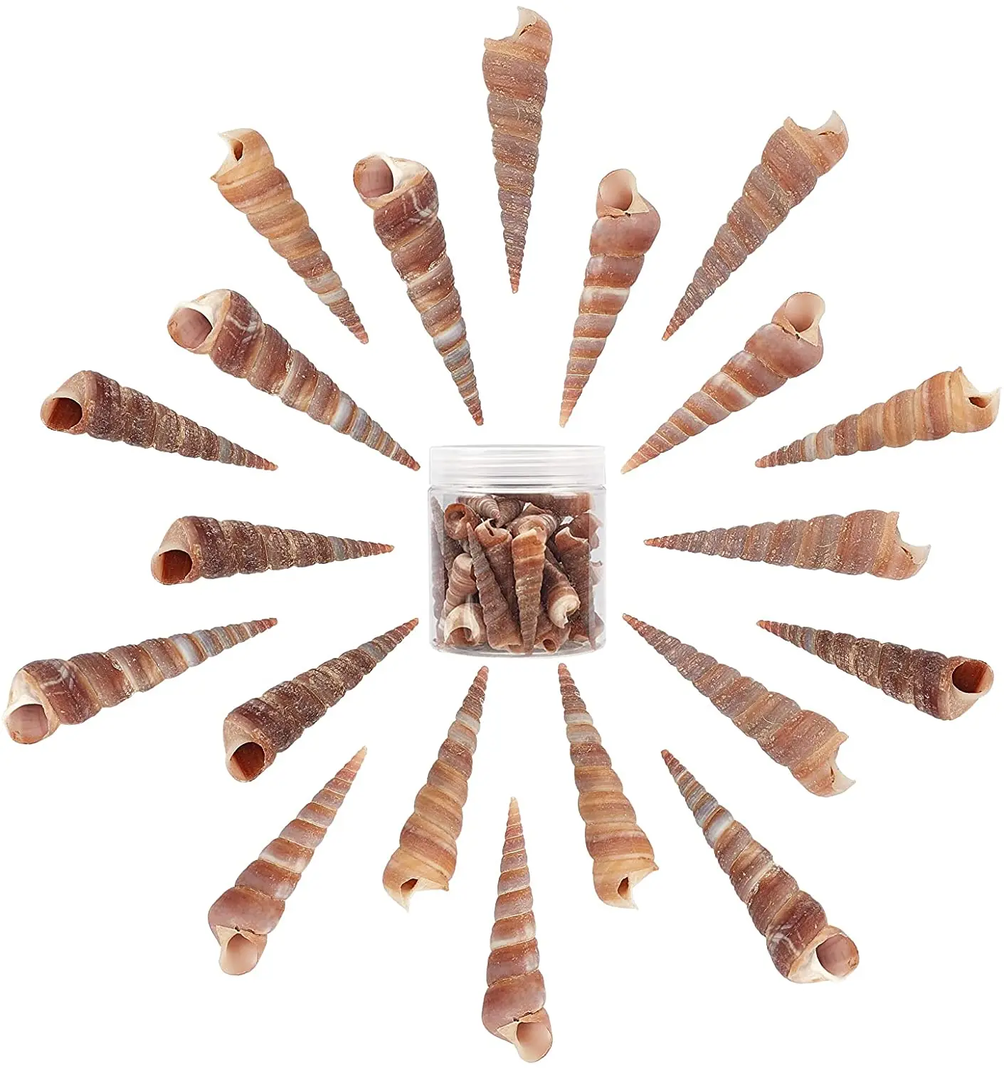 

Спиральные ракушки 120 г, ракушки, бусины без отверстий для изготовления ювелирных изделий своими руками, рукоделие, украшение для вечерние