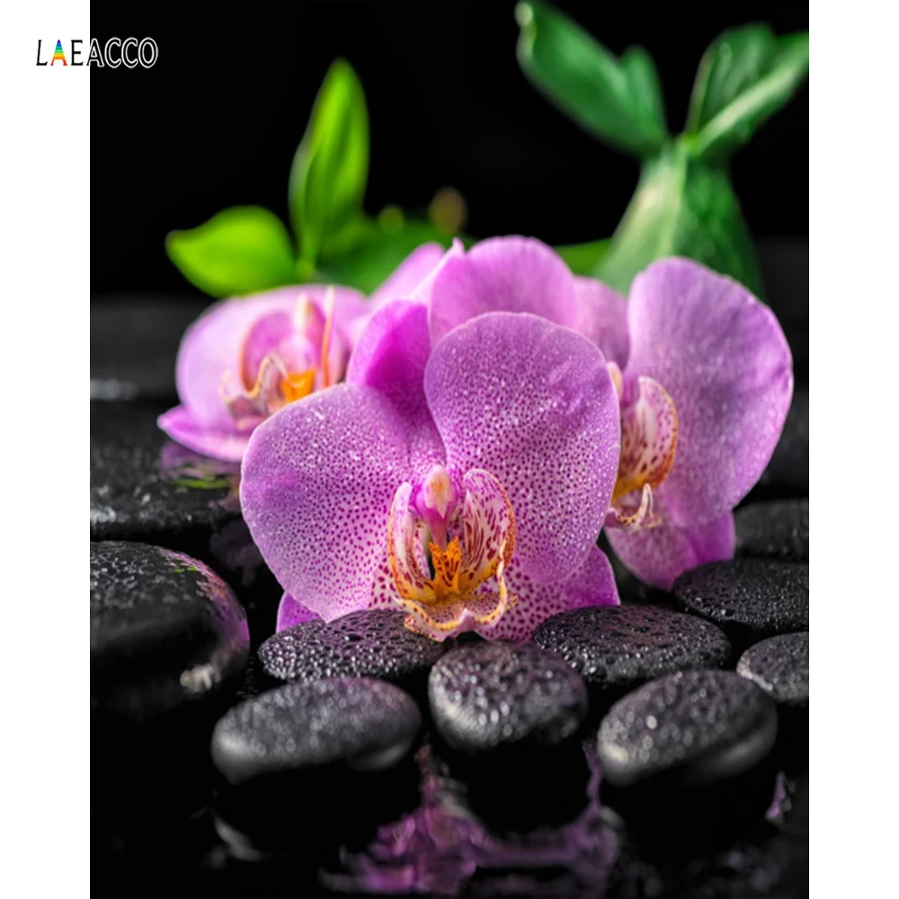 Laeacco розовые цветы булыжник зеленый оставьте художественные принты натюрморт