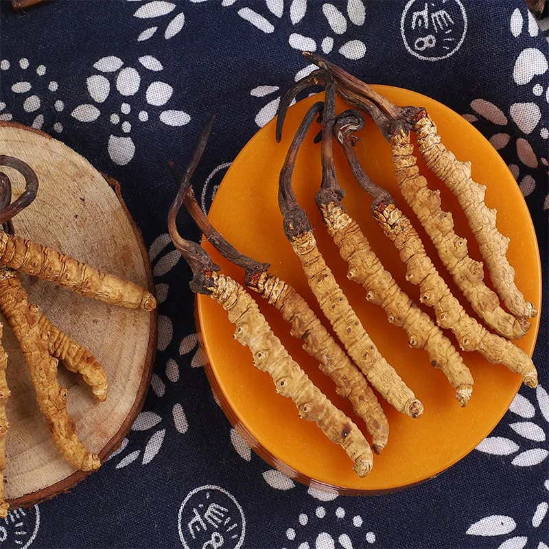 

Whole Wild Himalayan Cordyceps Sinensis Improve Immunity