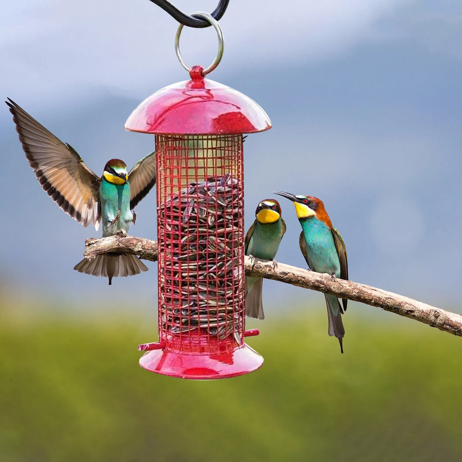 

Bird Feeder Outdoor Bird Feeder Hanging Bird Feeder For Garden Balcony Easy to Clean Yard Garden Decoration oiseaux