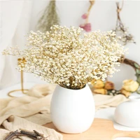 gypsophila retail lover grass limonium plantas naturales dried preserved flower eternelle wedding cristmass new year home d%c3%a9cor
