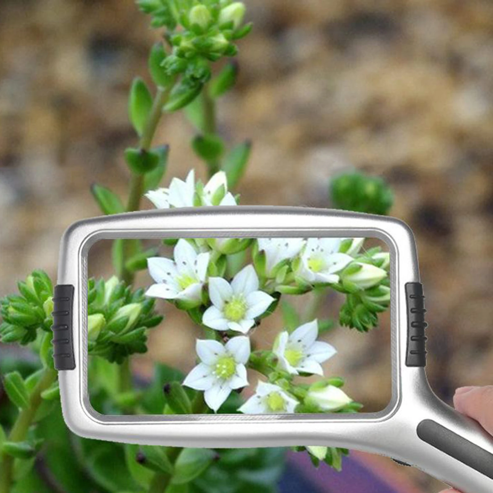 

Прямоугольный ручной увеличительное стекло с подсветкой 3X/10X анти-для ремонта