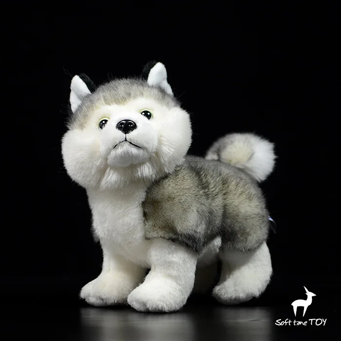

Real Life Plush Dogs Toy soft Good Quality Stuffed Husky dolls kids Toys birthday gifts