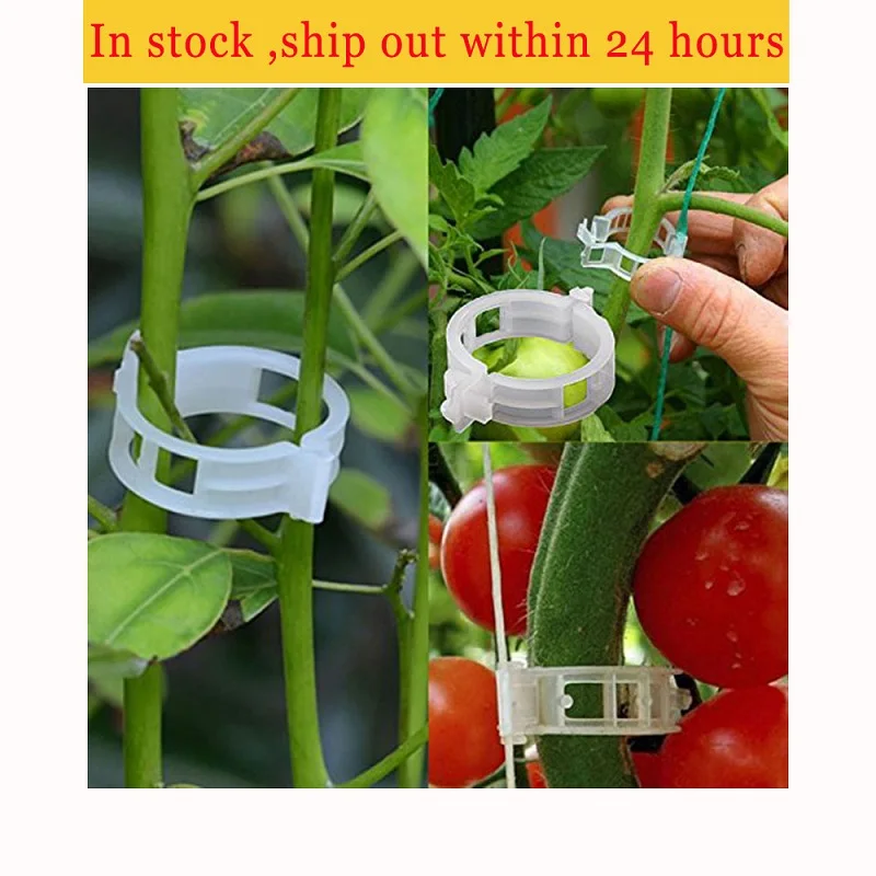 

50/100 reusable plastic plant support clips for plants hanging vine clips garden greenhouse vegetables tomato clips plant clips
