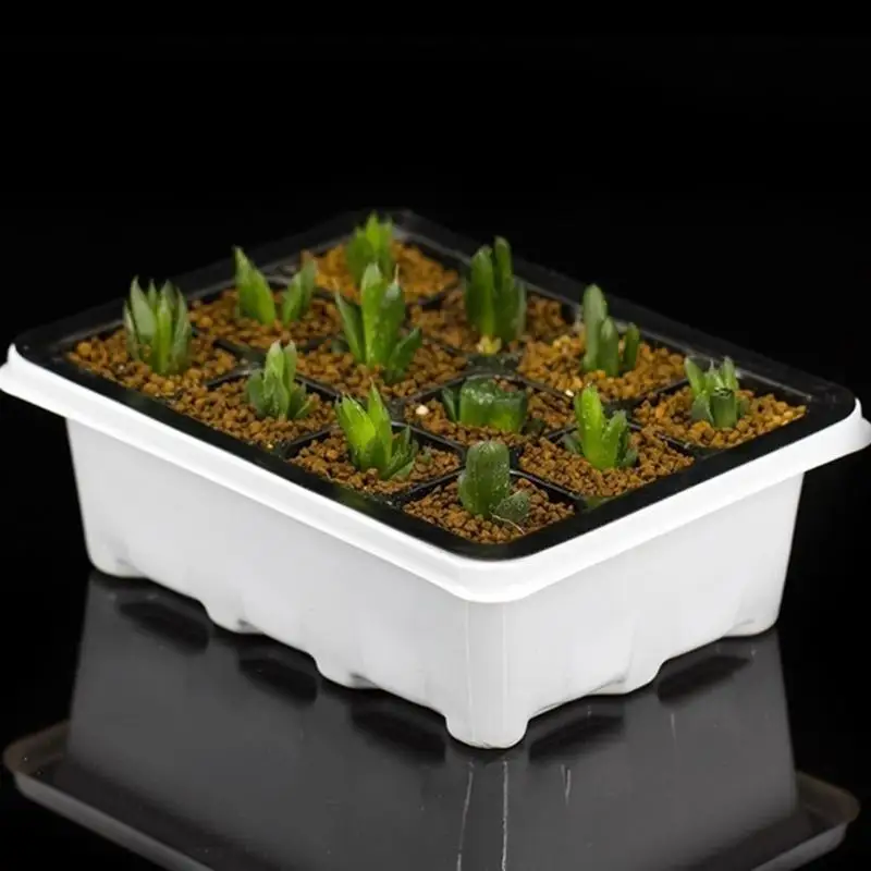 12 ячеек садовый горшок для рассады саженец поднос семян инструмент|Цветочные